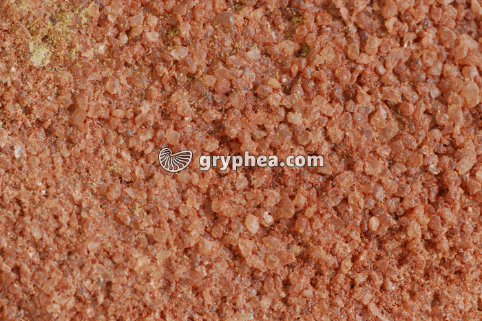 Grès désert Assouan - gryphea.com